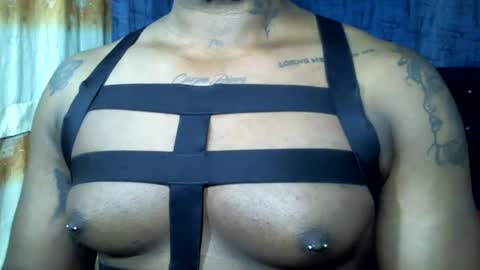 camilo online show from 02.02.25