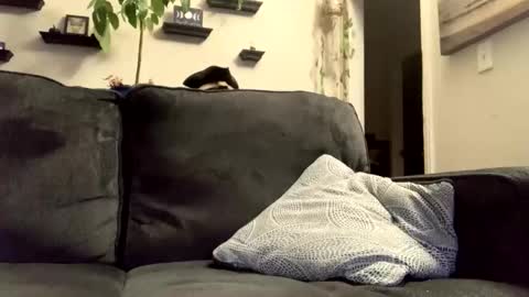 Snapshot of masturbationsession69 chatting on 01.08.26 masturbationsession69 online show from 01.08.26