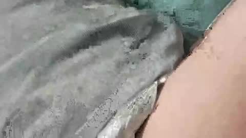 mathisdavid6757 online show from 11.22.25