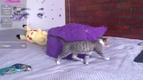 Mature liaa online show from 11.19.25