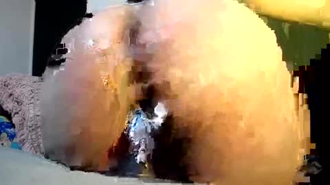 cata online show from 12.06.24