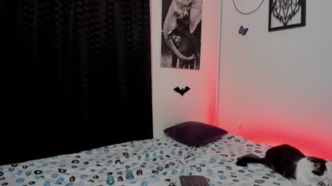 Alex online show from 03.03.25