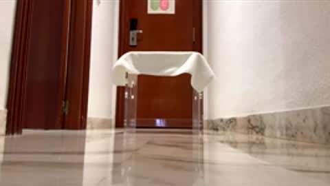 Snapshot of maximo1991 chatting on 12.14.25 maximo1991 online show from 12.14.25