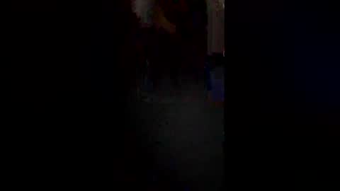 Snapshot of maximo1991 chatting on 12.22.25 maximo1991 online show from 12.22.25