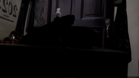 maximotorricelli online show from 01.03.25