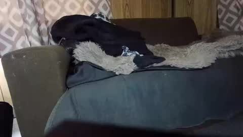 Snapshot of maximus_oreally chatting on 02.01.25 Max online show from 02.01.25