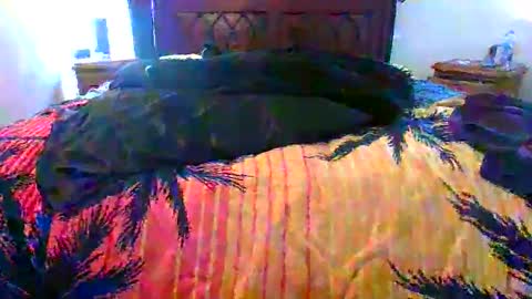 Snapshot of maximus_oreally chatting on 02.17.26 Max online show from 02.17.26