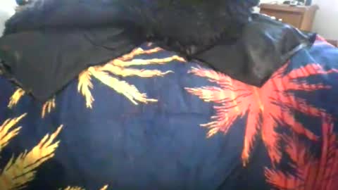 Snapshot of maximus_oreally chatting on 03.06.26 Max online show from 03.06.26