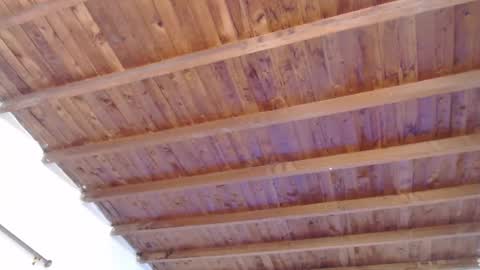 mayte online show from 12.02.24