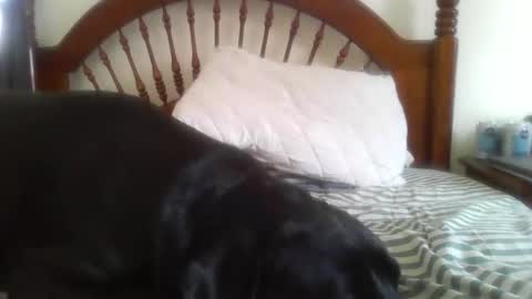 Snapshot of mdavis1six chatting on 02.14.26 Davis online show from 02.14.26