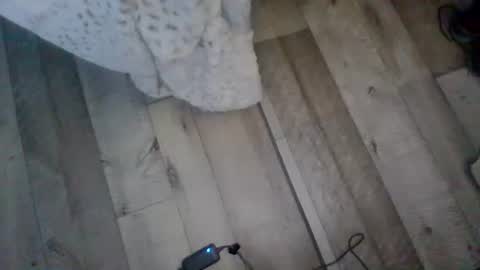 Snapshot of me_him_us_them chatting on 11.19.25 me_him_us_them online show from 11.19.25