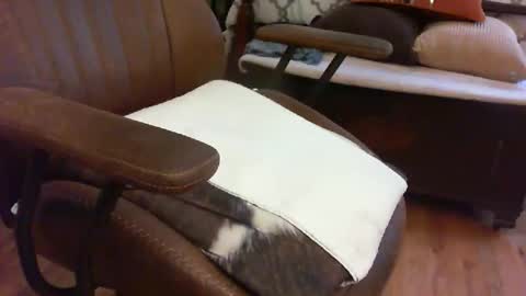 medfirebear online show from 11.28.25