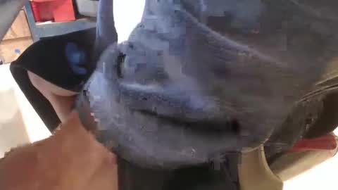 Snapshot of mee9090e900 chatting on 09.19.25 mee9090e900 online show from 09.19.25