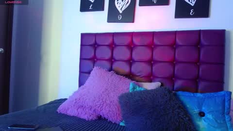 Snapshot of megan_lr chatting on 12.31.24 Valentina online show from 12.31.24