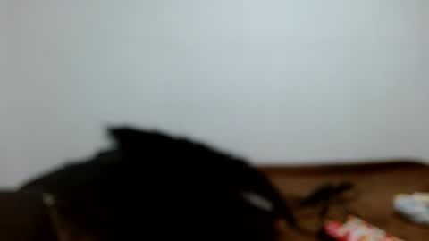 Snapshot of meganharry chatting on 07.12.26 meganharry online show from 07.12.26