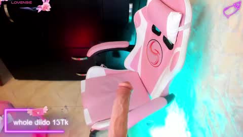 Snapshot of mei_millers chatting on 01.28.25 MELISSA online show from 01.28.25