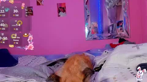 Snapshot of mejialuisa0142 chatting on 03.02.25 Luisa online show from 03.02.25