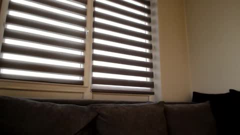 Melania online show from 12.21.24