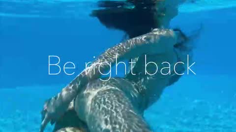 Adel online show from 09.15.25