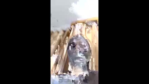 Snapshot of melissaknowles46 chatting on 03.14.26 melissaknowles46 online show from 03.14.26