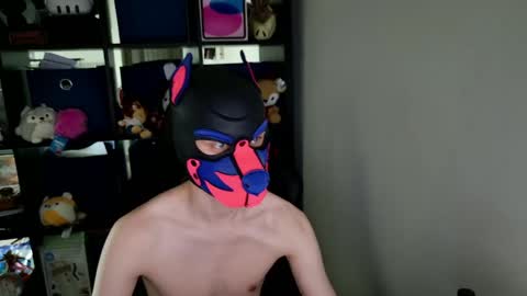 MellPUP online show from 05.26.26