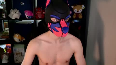 MellPUP online show from 06.08.26