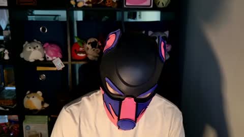 MellPUP online show from 06.23.26