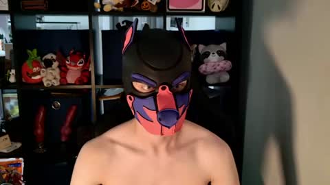 MellPUP online show from 07.14.26