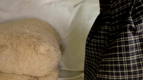 Snapshot of melmooon chatting on 03.09.26 MelMooon online show from 03.09.26