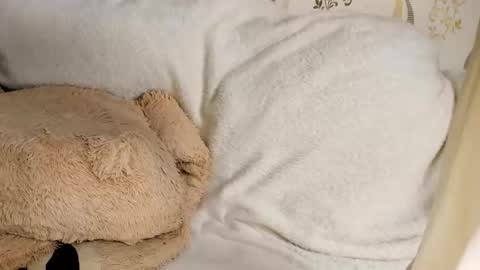 Snapshot of melmooon chatting on 03.11.26 MelMooon online show from 03.11.26