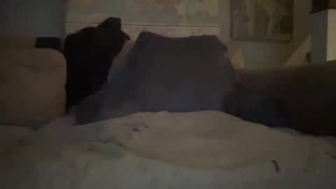 Snapshot of melt13 chatting on 01.01.25 melt13 online show from 01.01.25