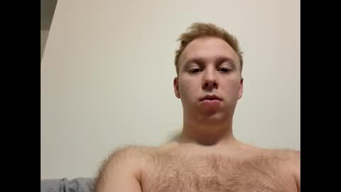 meow732 online show from 10.12.25