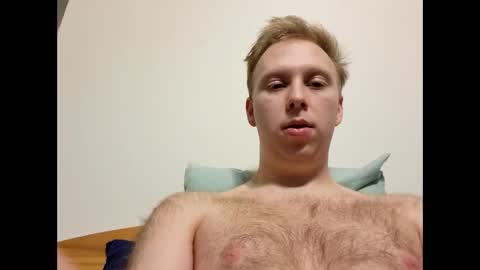 meow732 online show from 11.14.25