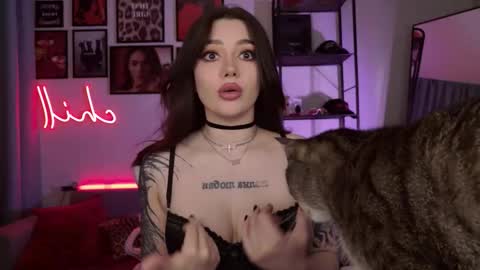 Amy Meow online show from 03.02.26
