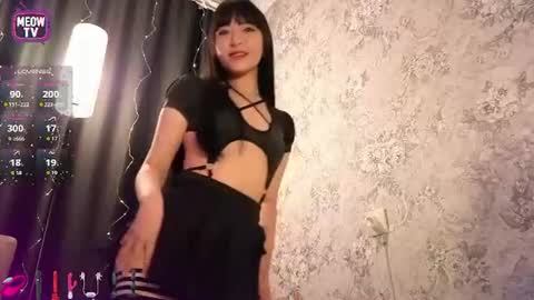 meowkami online show from 06.11.26
