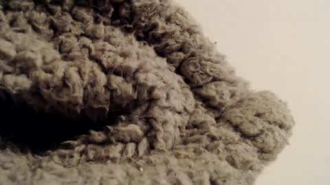 Mauro online show from 02.01.25