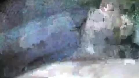 mexianthehawk online show from 09.28.25