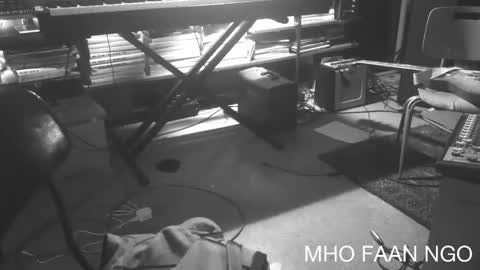 mhofaanngo online show from 03.02.26
