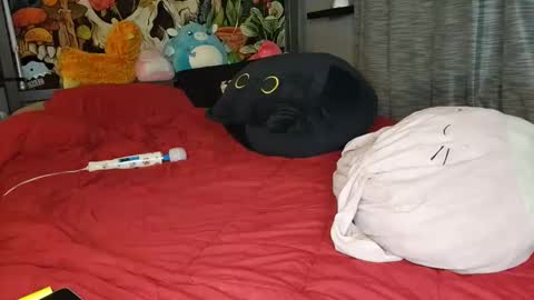 Snapshot of miaelizabethlove chatting on 01.10.25 Mia Love online show from 01.10.25