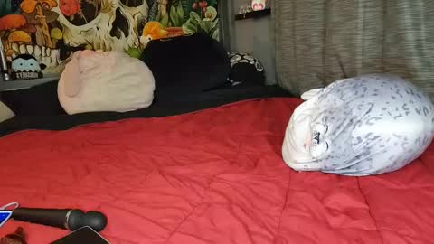 Snapshot of miaelizabethlove chatting on 02.08.25 Mia Love online show from 02.08.25