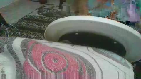 Snapshot of miagomezx chatting on 02.17.26 miagomezx online show from 02.17.26