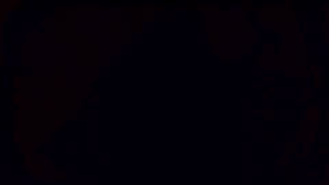 plumbinfool online show from 03.24.26