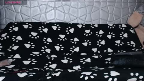 Snapshot of michele_mr chatting on 01.16.26 michele_mr online show from 01.16.26