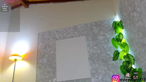 Snapshot of michele_rooss00 chatting on 02.14.26 melannie follow my new page online show from 02.14.26