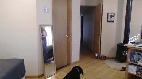 Snapshot of michelle209 chatting on 02.13.25 Michelle online show from 02.13.25