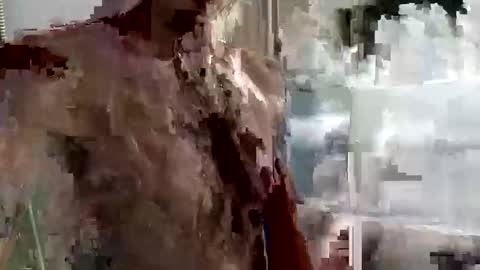 Snapshot of mickavis1975 chatting on 09.14.25 mickavis1975 online show from 09.14.25