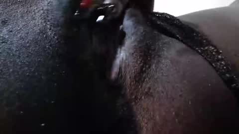 mickey online show from 12.16.25