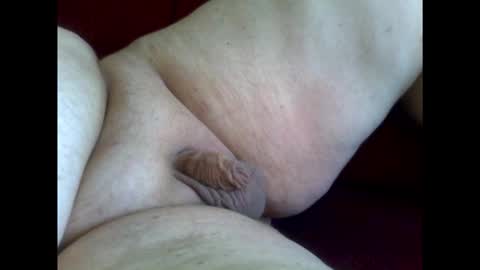 micropimmel online show from 01.18.26