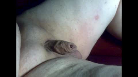 micropimmel online show from 05.25.26