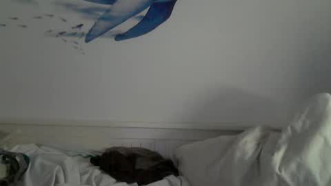 kike online show from 01.31.25